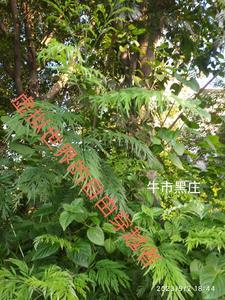 妻子太忙不是错女主最后和谁