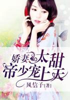 贤妻恶夫巧姻缘TXT