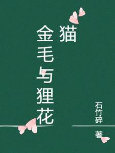 金毛和猫咪