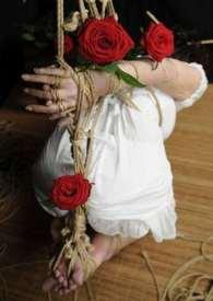 噬天龙帝人物介绍